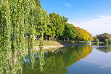 Similar image 9878051