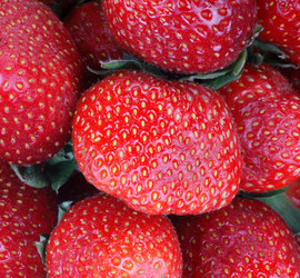 Similar image 9878069