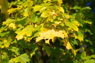 Similar image 9878101