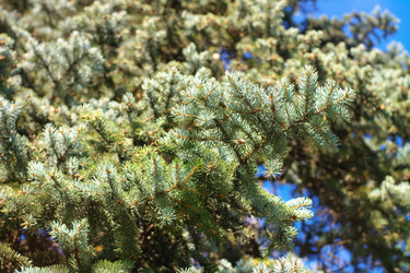 Similar image 9878109