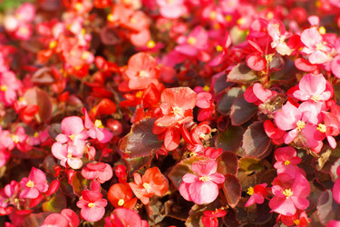 Similar image 9878116