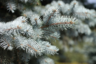 Similar image 9878365