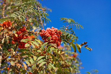 Similar image 9878430