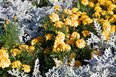 Similar image 9878432