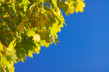 Similar image 9878435