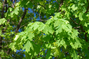 Similar image 9883128