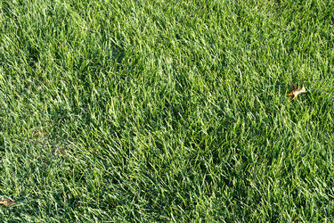 Similar image 9883135