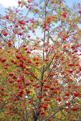 Similar image 9883141