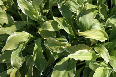 Similar image 9883160