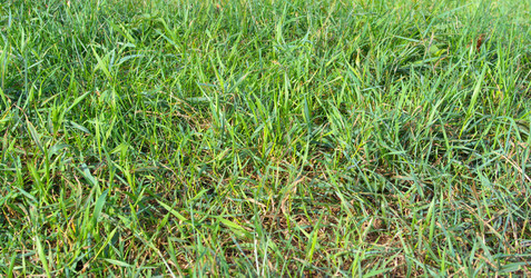 Similar image 9883162