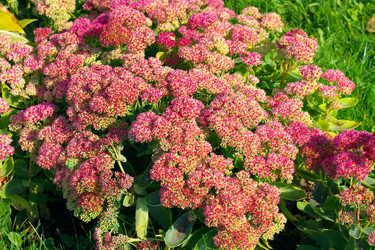 Similar image 9883164