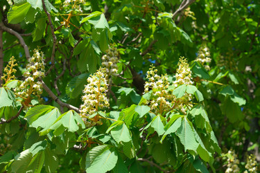 Similar image 9883167