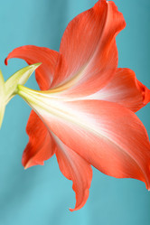 Similar image 9886222