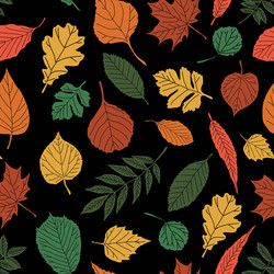 Similar image 9900092