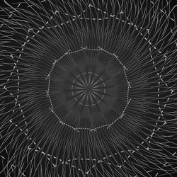 Similar image 9900657