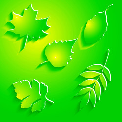 Similar image 9901619