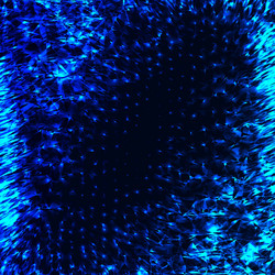 Similar image 9903709