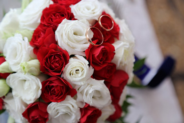 Similar image 9904320