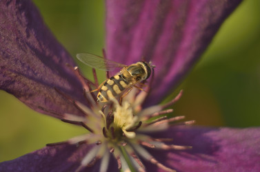 Similar image 9904322