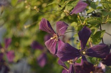 Similar image 9904324