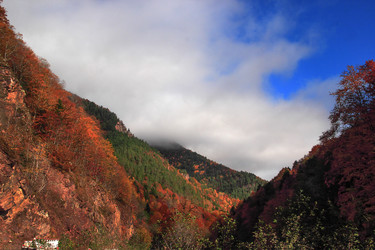 Similar image 9904347