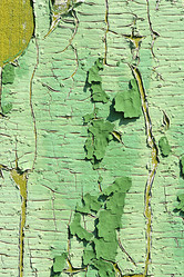 Similar image 9904470