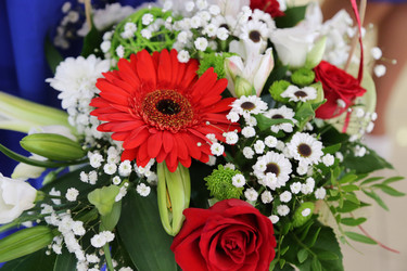 Similar image 9904477