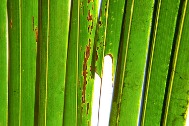 Similar image 9904516