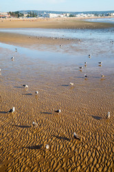 Similar image 9904525