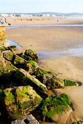 Similar image 9904527