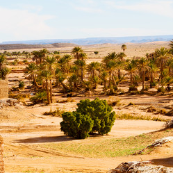 Similar image 9904676