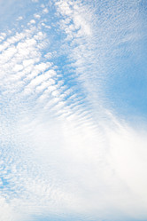 Similar image 9904939