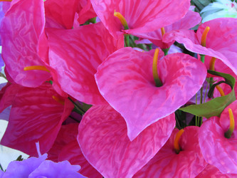 Similar image 9905004