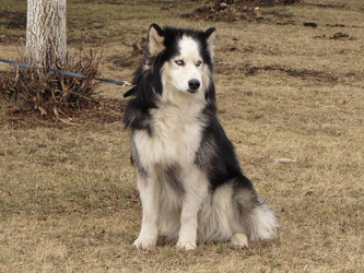 Similar image 9905012