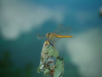 Similar image 9905263