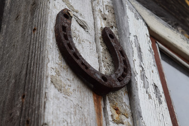 Similar image 9907238