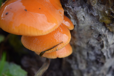 Similar image 9908280