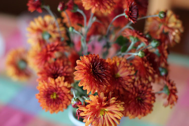 Similar image 9938586