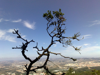 Similar image 9938784