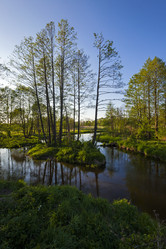 Similar image 9939071