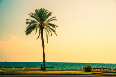 Similar image 9939393