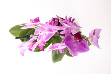 Similar image 9939400