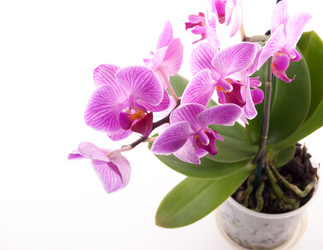 Similar image 9939405