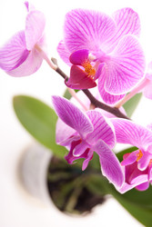 Similar image 9939411