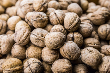 Similar image 9939423