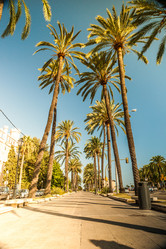 Similar image 9939438