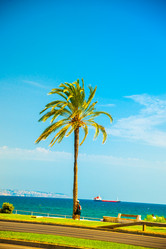 Similar image 9939633