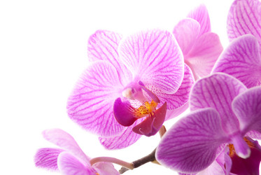 Similar image 9939756