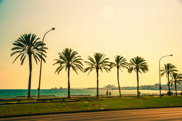 Similar image 9939758