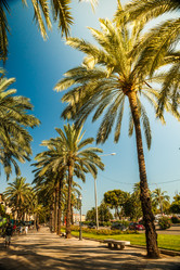 Similar image 9939787